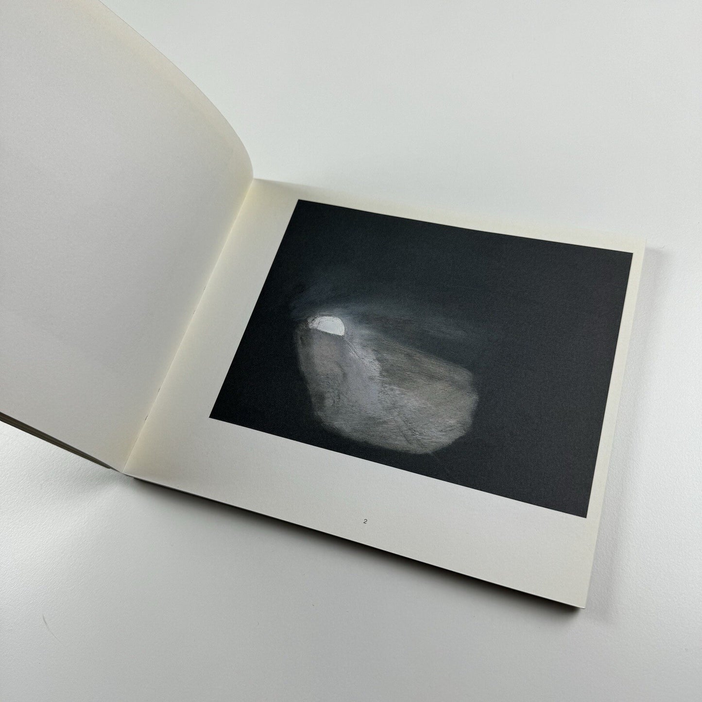 Vicken Parsons. Your Light | Christine Koenig Gallery, Vienna catalogue, 2005