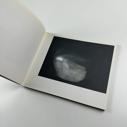Vicken Parsons. Your Light | Christine Koenig Gallery, Vienna catalogue, 2005