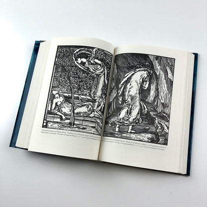 The Victorian Illustrated Book | Edited by Richard Maxwell | University Press of Virginia, 2002