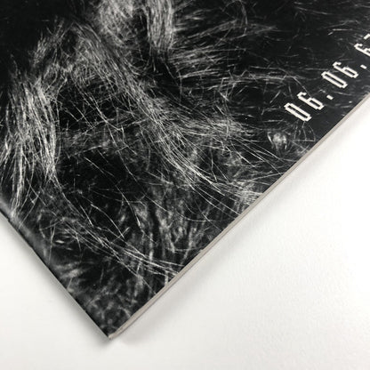 Andrea Fisher – Gimpel Fils exhibition catalogue, 1994