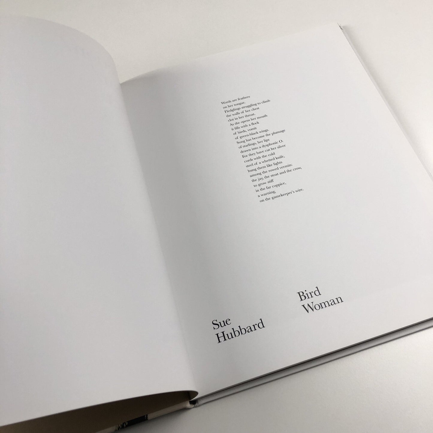 Fiction/Fear/Fact/ Rachel Howard | Other Criteria, 2007