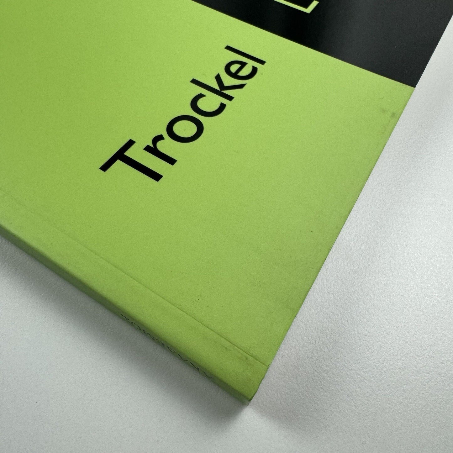 RO'MA - Rosemarie Trockel and Markus Lüpertz, 2006 Akademos exhibition catalogue