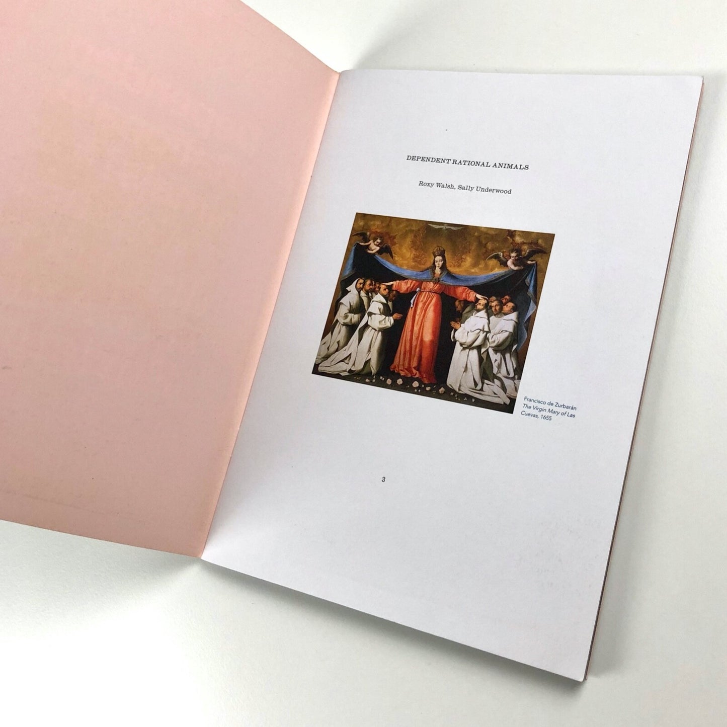 Dependent Rational Animals Roxy Walsh and Sally Underwood | Towner Gallery catalogue, 2013