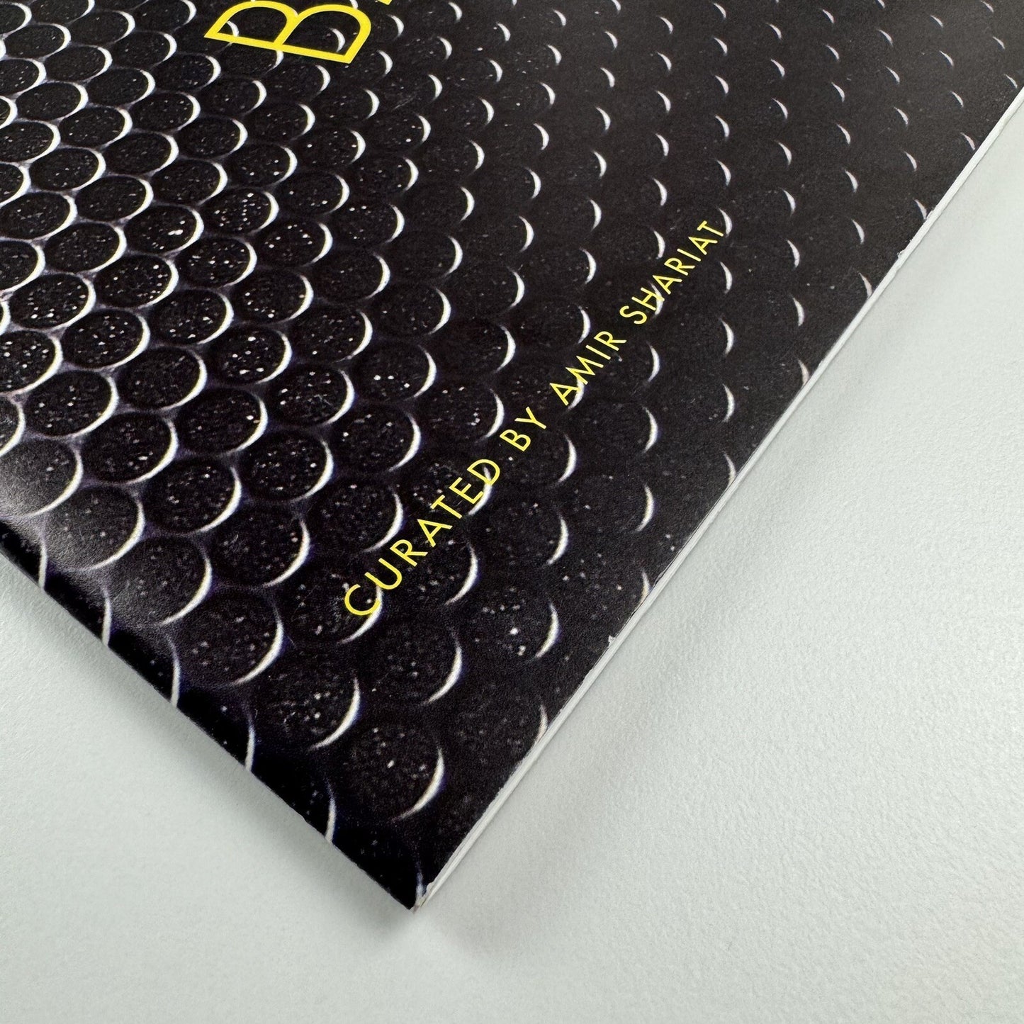 Bass! How low can you go? Leila Heller Gallery catalogue, New York 2013