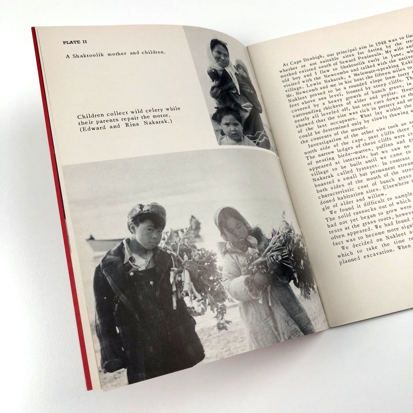 Bulletin University Museum, University of Pennsylvania, Vol XIV No 4, June 1950