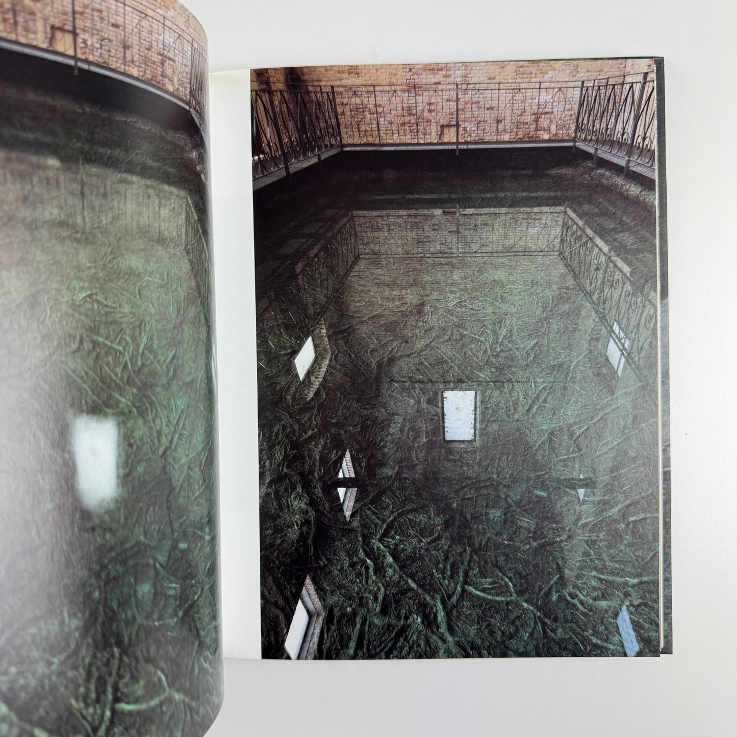 Cristina Iglesias. Tres Aguas | Edited by James Kingwood. Artangel, 2015 signed
