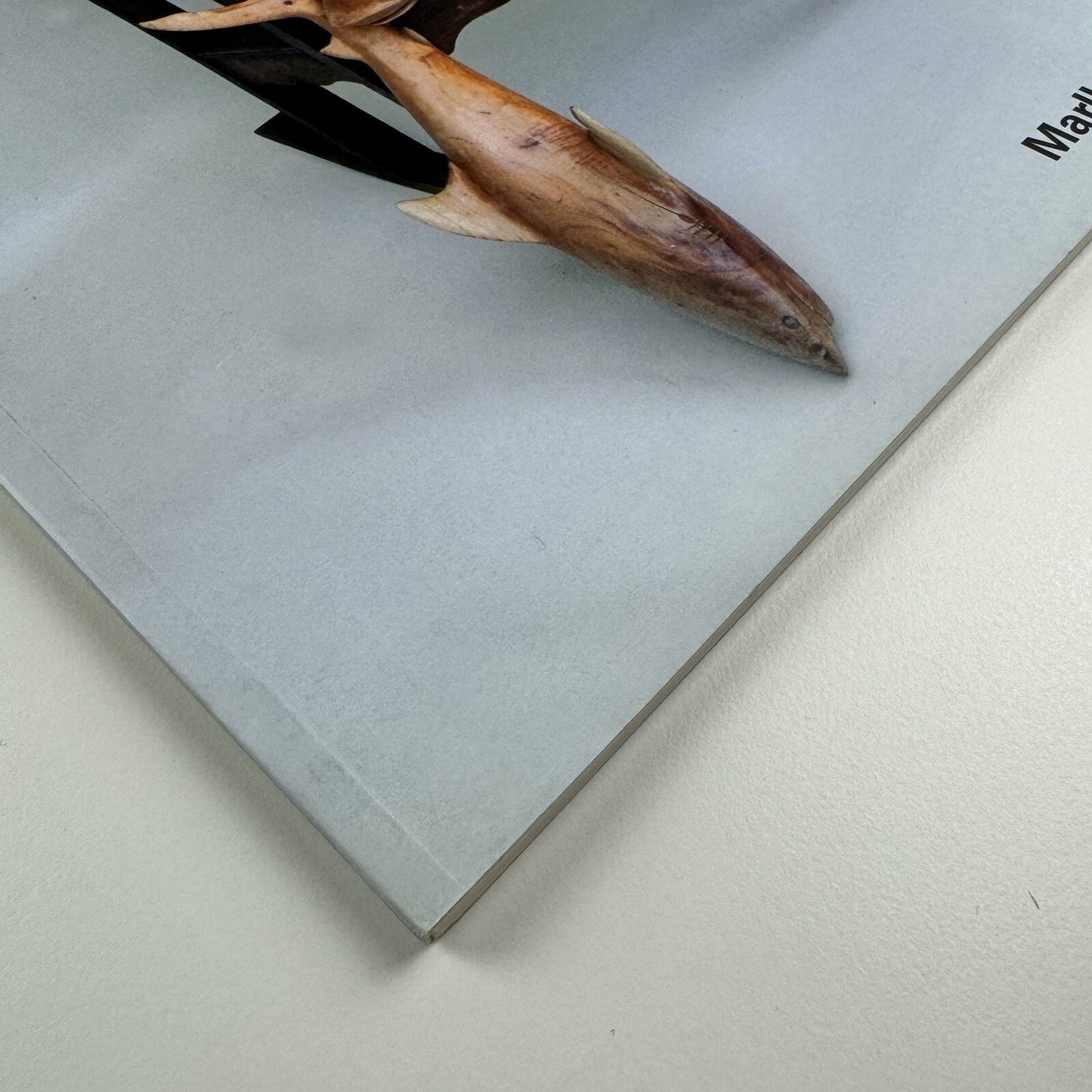 Kcho. Retrasando lo inevitable | Marlborough Madrid catalogue, 2007