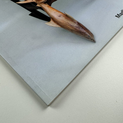 Kcho. Retrasando lo inevitable | Marlborough Madrid catalogue, 2007