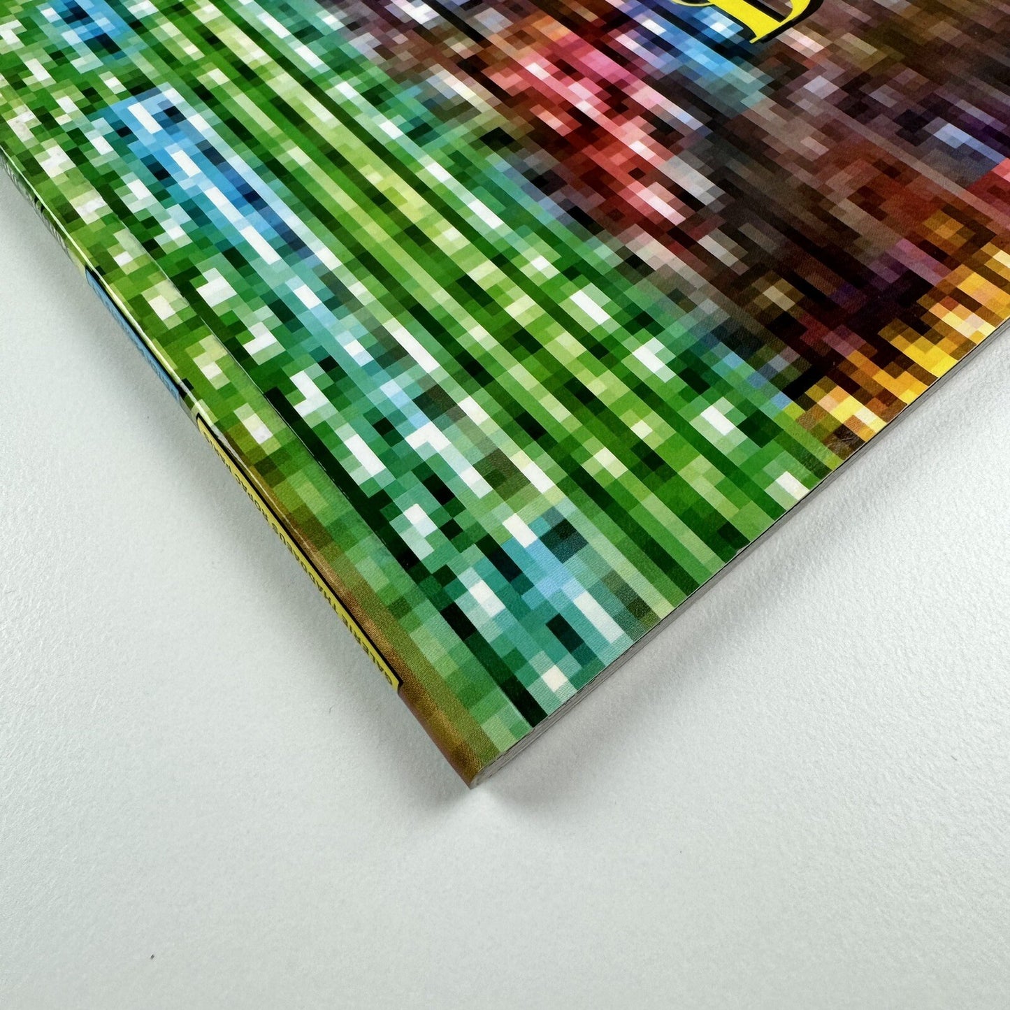 Philippe Bradshaw. Deitch Projects N.Y.| Galerie Thaddaeus Ropac, Paris, 2001