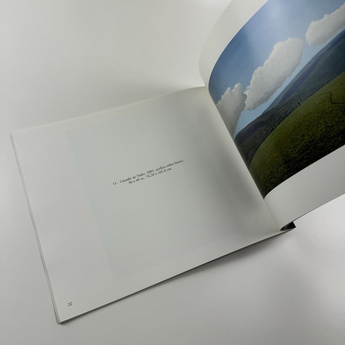 Tomás Sánchez. Obras recientes | Marlborough exhibition catalogue, 2001