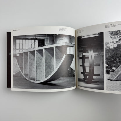 The Sculpture Show: Fifty Sculptors at the Serpentine & South Bank, 1983