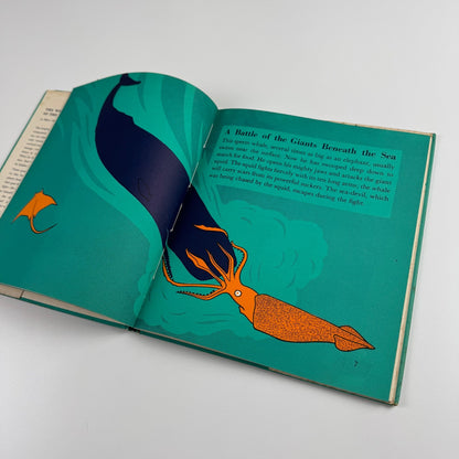 The Wonder World of the Deep Sea by Marie Neurath | Max Parrish, 1955 Isotype Institute