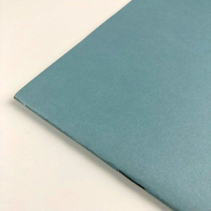 Nothing But Mirrors and Tides – David Manley paintings | Derby Museum catalogue, 2002