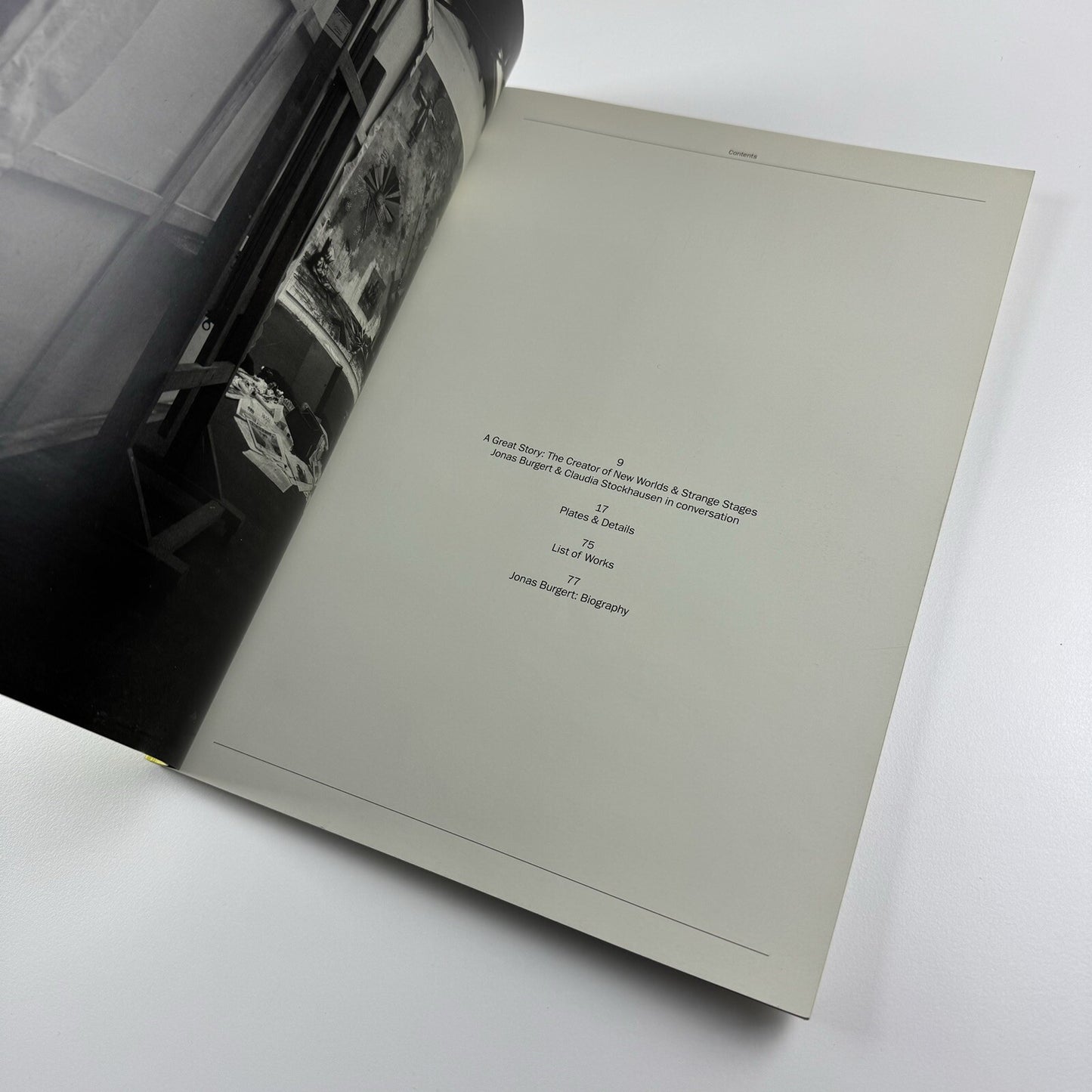Jonas Burgert. Hitting Every Head | Haunch of Venison London, 2009 catalogue