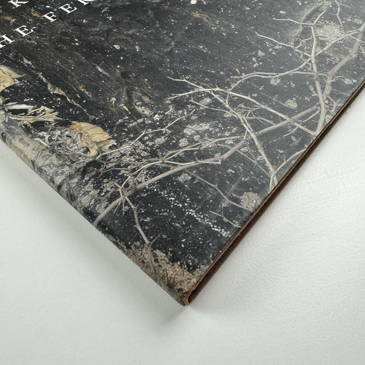 Karfunkelfee. Anselm Kiefer. The Fertile Crescent | White Cube 2009