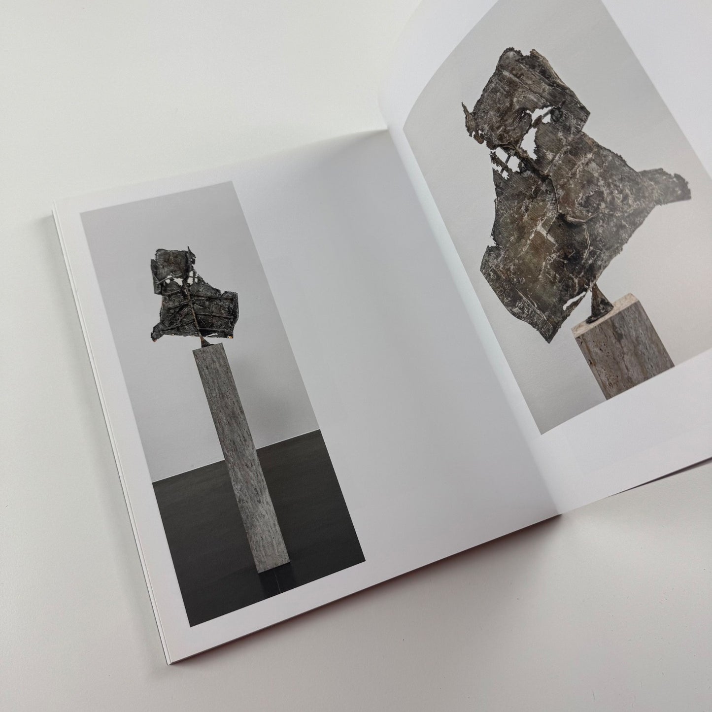 Anthony James. Morphic Fields - Skulpturen | Hatje Cantz, 2014