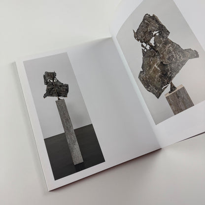 Anthony James. Morphic Fields - Skulpturen | Hatje Cantz, 2014