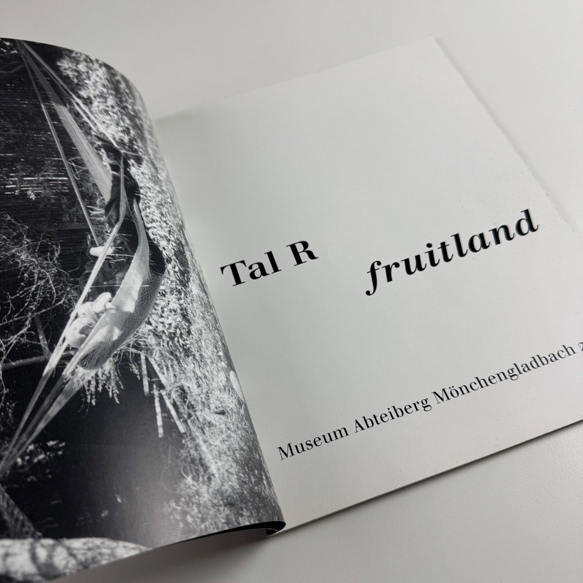 Tal R Fruitland | Museum Abteiberg, Mönchengladbach, 2002