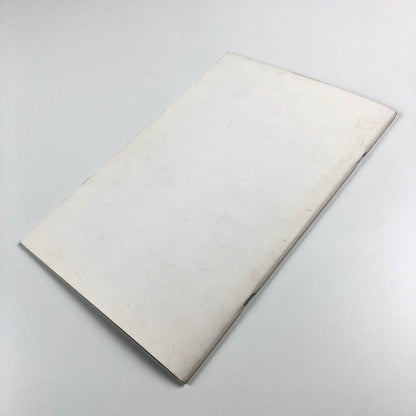 Sim Não – Yes No | Auditório da Fundação de Serralves, 2007 Manuel Castro Caldas