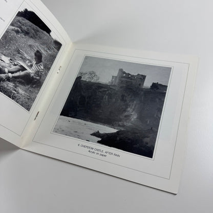 Welsh Landscapes. Recent paintings by Gareth Thomas | Glynn Vivian Art Gallery