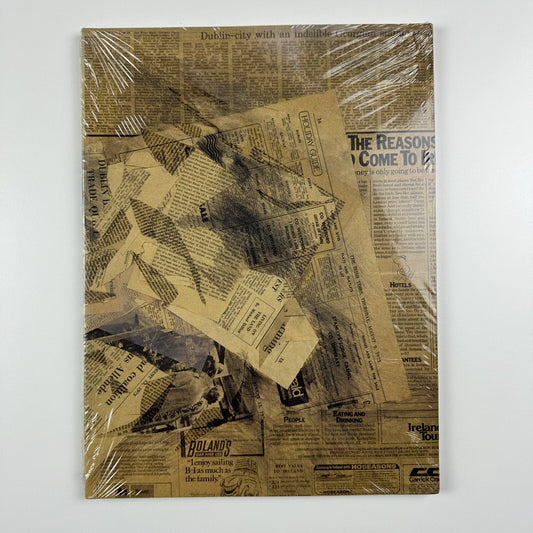 Civil Rights etc Rita Donagh & Richard Hamilton Hugh Lane Dublin 2011/12