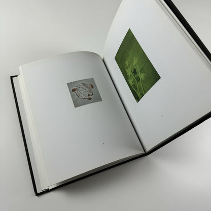 Luc Tuymans. Display | Helsinki Kunsthalle and Centro de Arte de Salamanca | 2003-04 exhibition catalogue