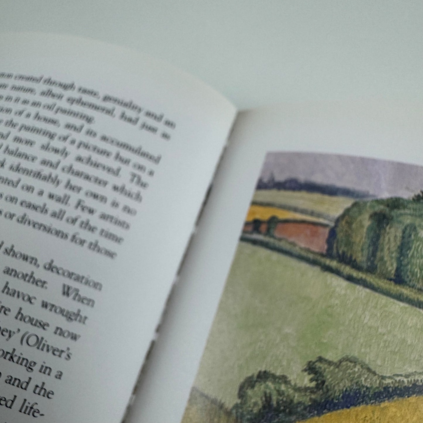 The Art of Dora Carrington by Jane Hill | Herbert Press, 1994 signed by author