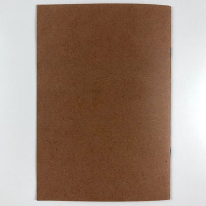 Mir Poets 19 - Views from Myeloma (excerpts 17 and 18) by Tom Scott 1988