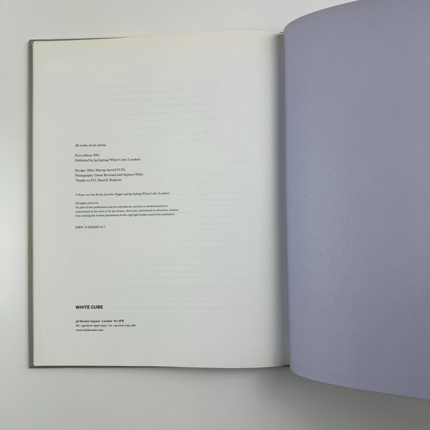 Koen van den Broek. Jennifer Higgie | White Cube, London, 2003