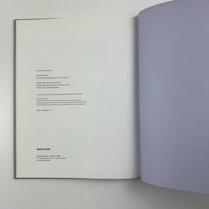 Koen van den Broek. Jennifer Higgie | White Cube, London, 2003