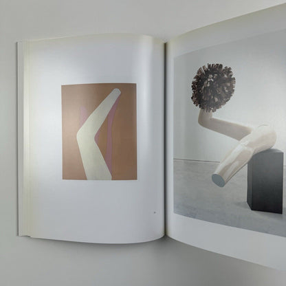 Gary Hume. American Tan | White Cube, London, 2007