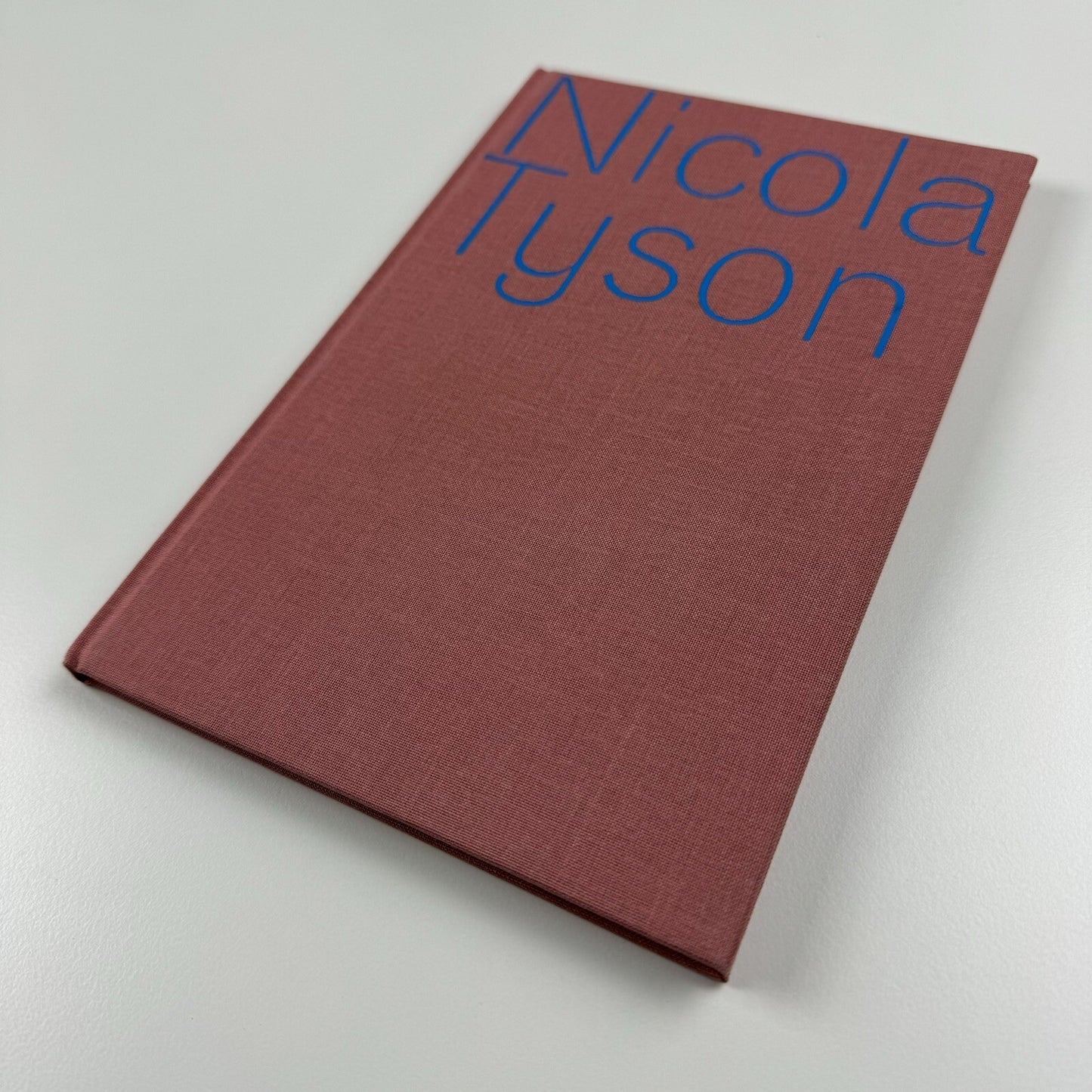 Nicola Tyson | The Douglas Hyde Gallery, Dublin 2005 | Exhibition catalogue