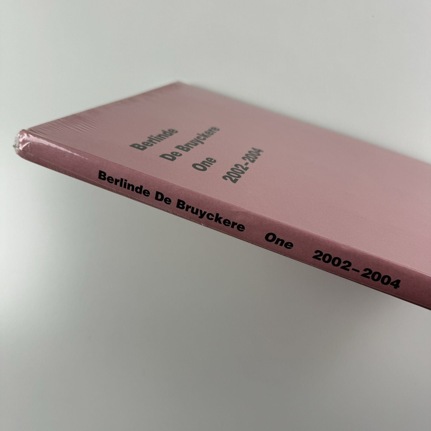 Berlinde De Bruyckere One 2002-2004 | De Pont Museum / La Maison Rouge exhibition catalogue, 2005