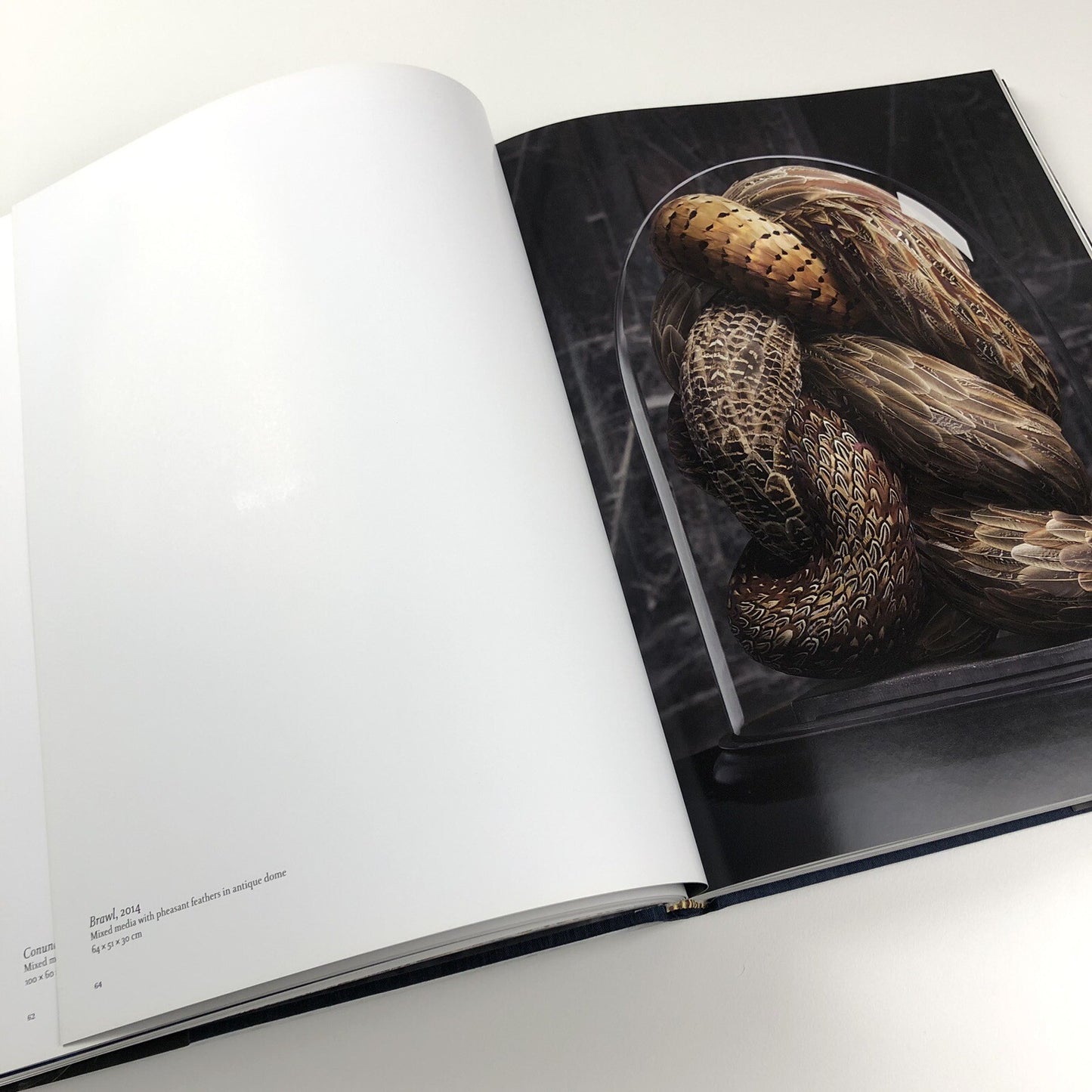 Kate MccGwire | Edited by Mark Sanders | Anomie Publishing, 2021