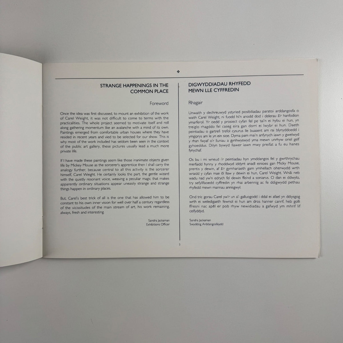 Strange Happenings in the Common Place. A retrospective exhibition of the work of Professor Carel Weight  | Newport Museum & Art Gallery, 1993