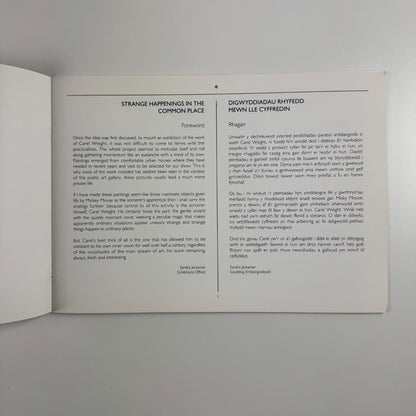 Strange Happenings in the Common Place. A retrospective exhibition of the work of Professor Carel Weight  | Newport Museum & Art Gallery, 1993