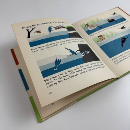 The Wonder World of Birds by Marie Neurath | Max Parrish, 1953 Isotype Institute