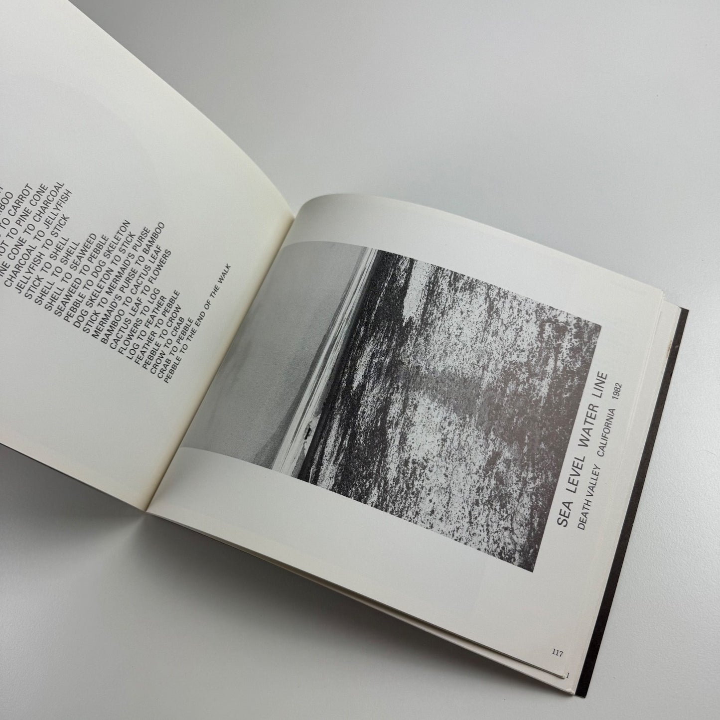 The Sculpture Show: Fifty Sculptors at the Serpentine & South Bank, 1983
