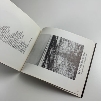 The Sculpture Show: Fifty Sculptors at the Serpentine & South Bank, 1983