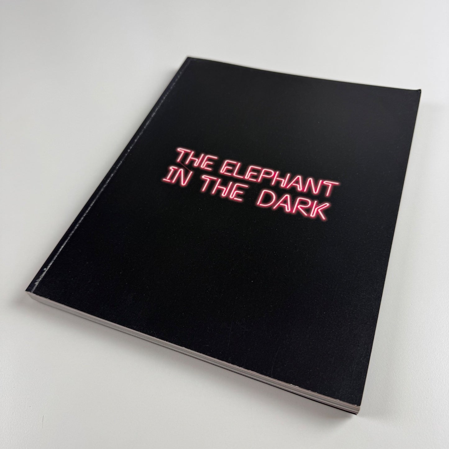 The Elephant in the Dark | Delvi Art Foundation, New Delhi, 2012 curated by Amirali Ghasemi