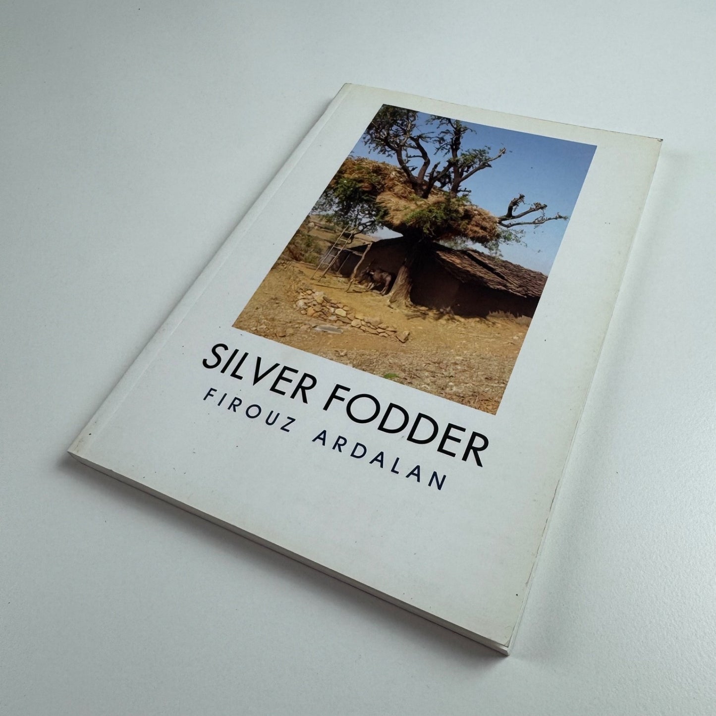 Silver Fodder Firouz Ardalan | Seva Mandir, 2012