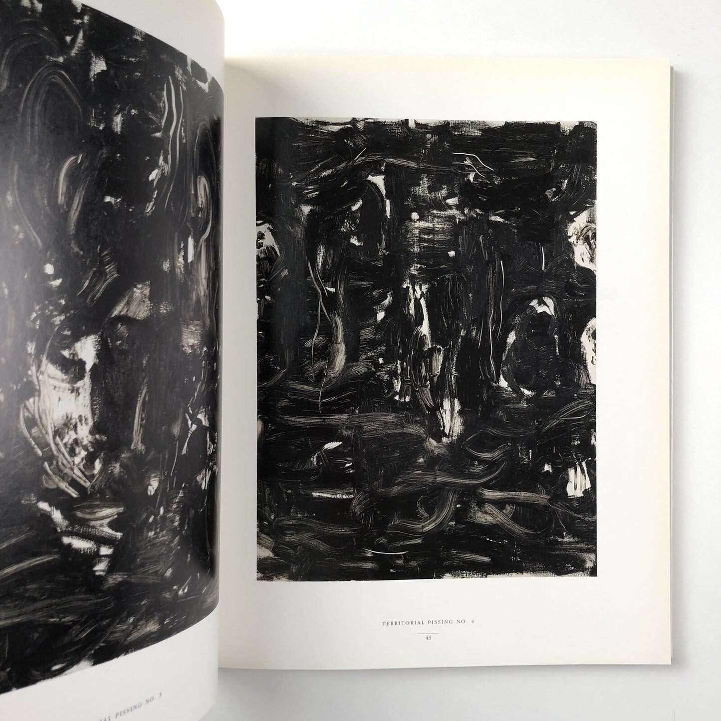 Claus Carstensen – The Sao Paulo Project And Related Work| Exhibition catalogue, 1992-94