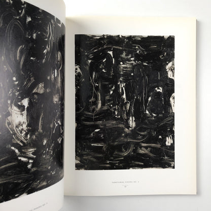 Claus Carstensen – The Sao Paulo Project And Related Work| Exhibition catalogue, 1992-94