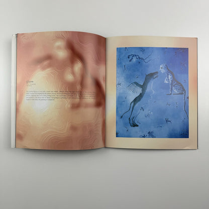 Sun Liang. Reflections | Contrasts Gallery Shanghai | Exhibition catalogue, 2005