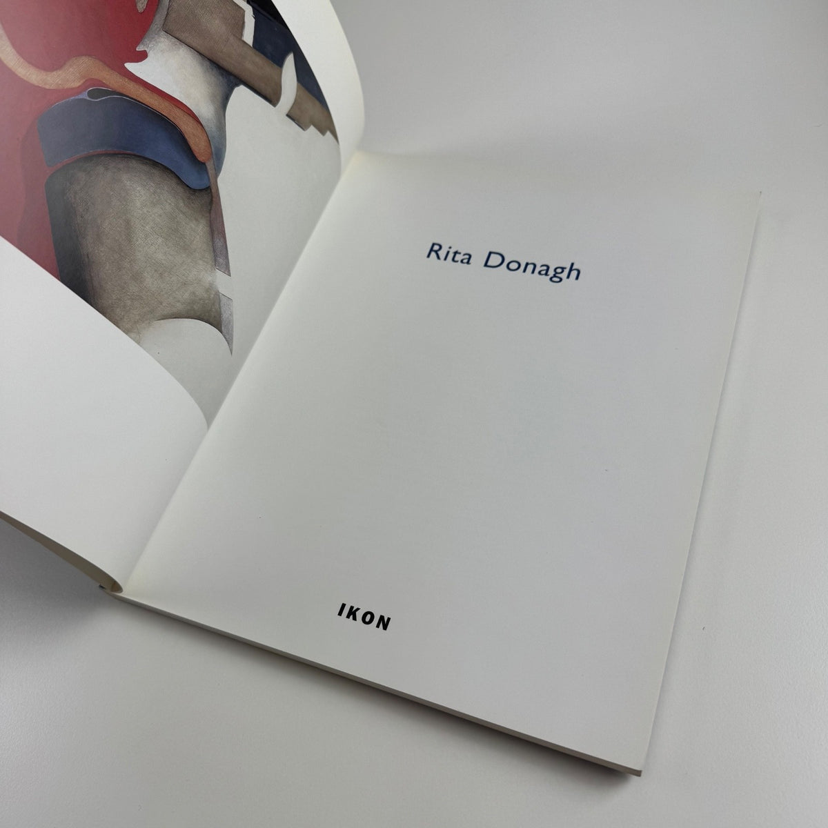 Rita Donagh | Ikon Gallery, Birmingham, 2005