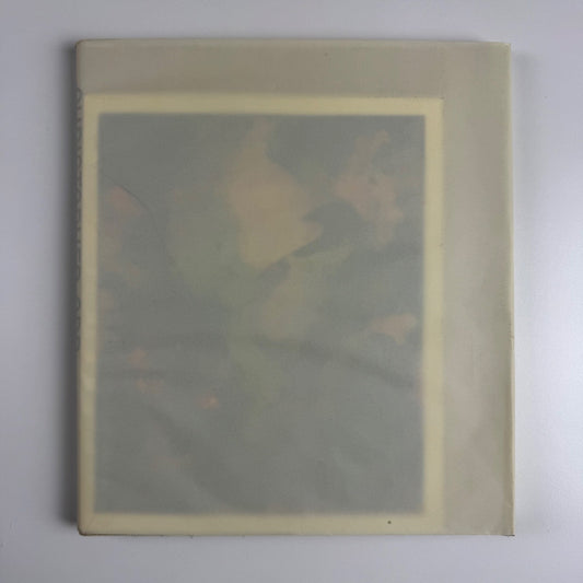 Christopher Orr. Foundation 20 21. Nye Haus, limited edition 1394 of 1500