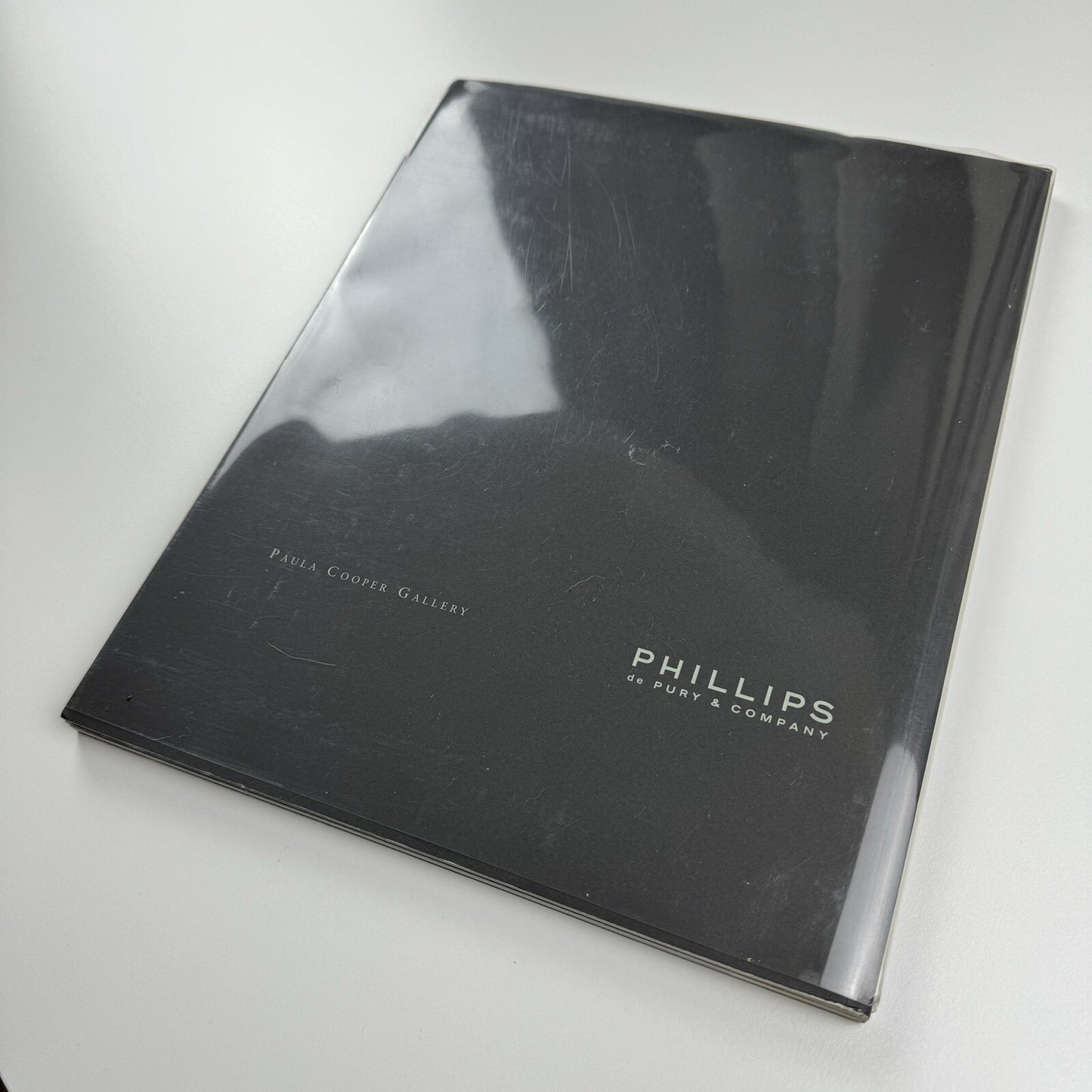 Voom Portraits. Robert Wilson | Phillips de Pury, Paula Cooper Gallery, 2007 catalogue