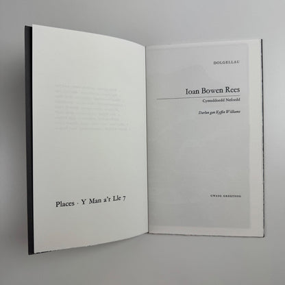 Ioan Bowen Rees. Dolgellau Darlun gan Kyffin Williams | Gwasg Gregynog 1998