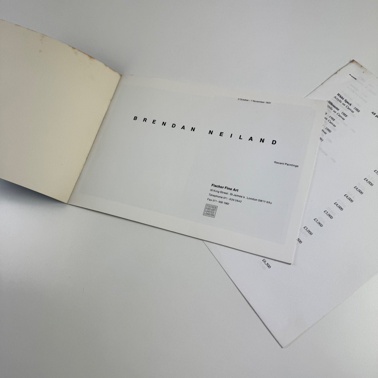 Brendan Neiland Recent Paintings | Fischer Fine Art London 1991