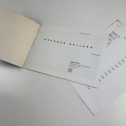 Brendan Neiland Recent Paintings | Fischer Fine Art London 1991